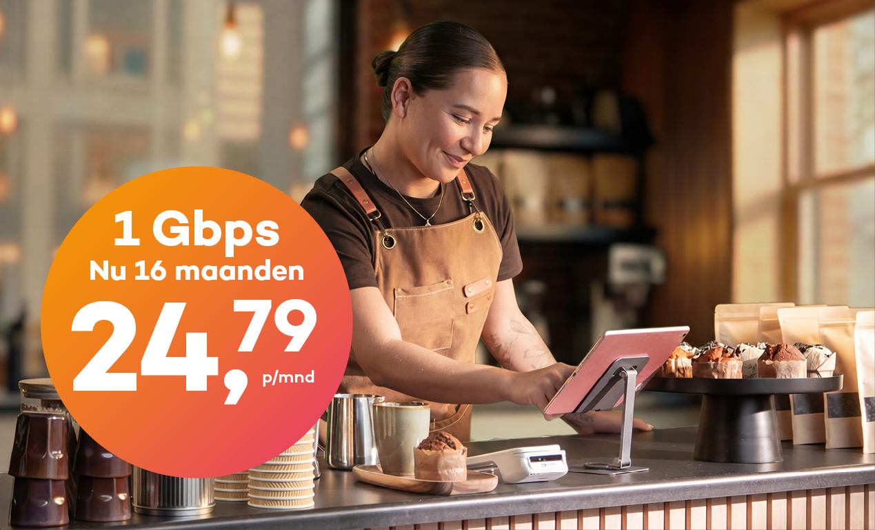 Flex zakelijk